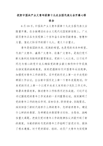 祝贺中国共产主义青年团第十九次全国代表大会开幕心得体会
