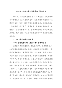 2023年上半年乡镇工作总结和下半年计划