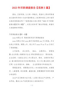 2023年尽职调查报告【范例5篇】