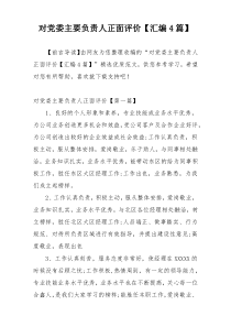 对党委主要负责人正面评价【汇编4篇】