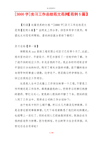 [3000字]实习工作总结范文范例【范例5篇】