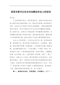 某某市委书记在全市巡察动员会上的讲话