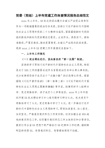 党委（党组）上半年党建工作自查情况报告总结范文