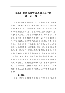 某某区集团化办学改革试点工作的调研报告