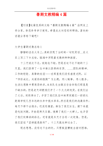暑期支教精编4篇