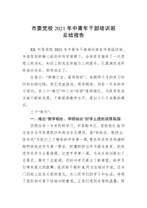 市委党校20XX年中青年干部培训班总结报告