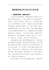 某某县供电公司20XX年工作计划