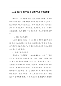 乡20XX年工作总结及下步工作打算