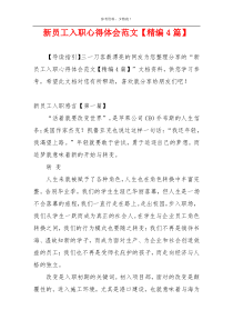 新员工入职心得体会范文【精编4篇】
