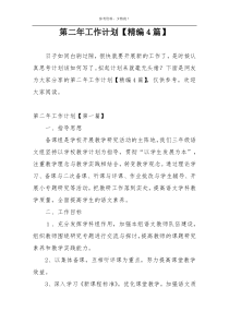 第二年工作计划【精编4篇】