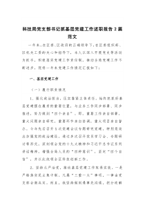 科技局党支部书记抓基层党建工作述职报告2篇范文