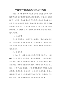 乡村治理试点示范工作方案