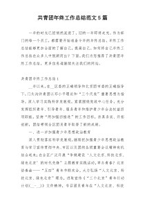 共青团年终工作总结范文5篇
