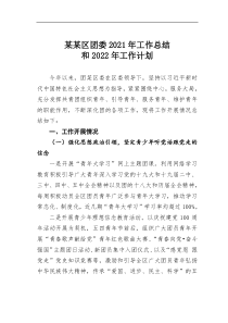 某某区团委20XX年工作总结和20XX年工作计划
