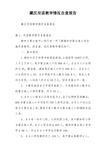 藏汉双语教学情况自查报告