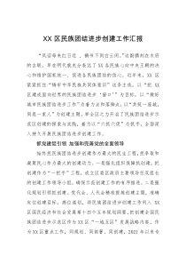 XX区民族团结进步创建工作汇报