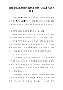 党组书记组织落实巡察整改情况报告【范例4篇】