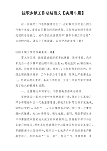 挂职乡镇工作总结范文【实用5篇】