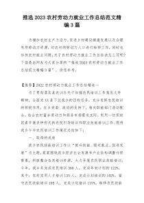 推选2023农村劳动力就业工作总结范文精编3篇