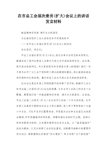 在市总工会届次委员扩大会议上的讲话发言材料
