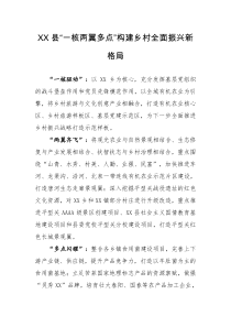 XX县一核两翼多点构建乡村全面振兴新格局