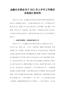 金融办支委会关于20XX年上半年工作情况及检视汇报材料