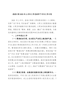 县统计局2023年上半年工作总结和下半年工作计划