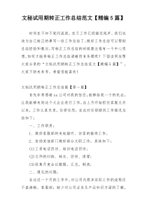 文秘试用期转正工作总结范文【精编5篇】