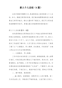 新人个人总结（4篇）