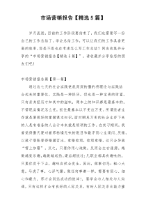 市场营销报告【精选5篇】