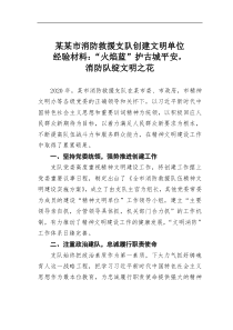 某某市消防救援支队创建文明单位经验材料火焰蓝护古城平安消防队绽文明之花