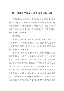 县处级领导干部能力提升专题培训心得