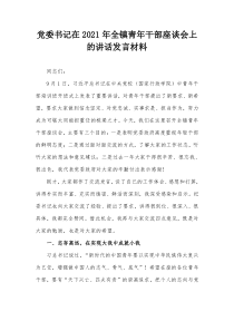 党委书记在20XX年全镇青年干部座谈会上的讲话发言材料