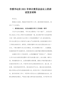 市委书记在20XX年审计委员会会议上的讲话发言材料