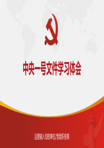 【ppt课件】中央一号文件学习体会参考模板