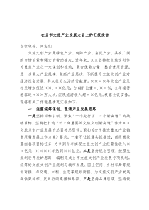 在全市文旅产业发展大会上的汇报发言