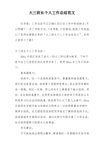 大三班长个人工作总结范文