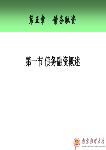 第五章_债务融资
