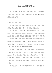 大学生实习月度总结