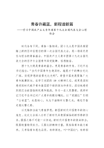公安基层团干部学习共青团十九大精神心得体会2023