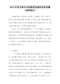 2023年党支部书记抓基层党建和述责述廉（述职报告）