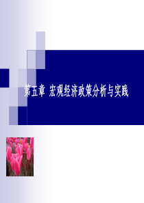 第五章宏观经济政策分析与实践