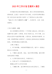 2023年工作计划【通用4篇】