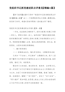 党组织书记抓党建述职点评意见【精编4篇】