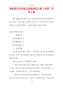 旅游景区如何做出营销策划方案（实例）实用5篇