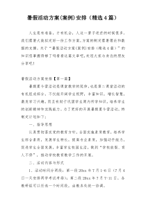 暑假活动方案(案例)安排（精选4篇）