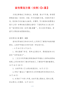 宣传策划方案（实例）【4篇】