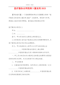 医疗服务合同范例3篇实用2023