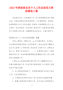 2023年商场营业员个人工作总结范文简短精选5篇