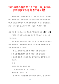 2023年急诊科护理个人工作计划_急诊科护理年度工作计划【汇编4篇】